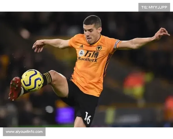 哈姆迪·阿卜杜勒瓦哈布战术解析，凸显非洲格斗独特风格